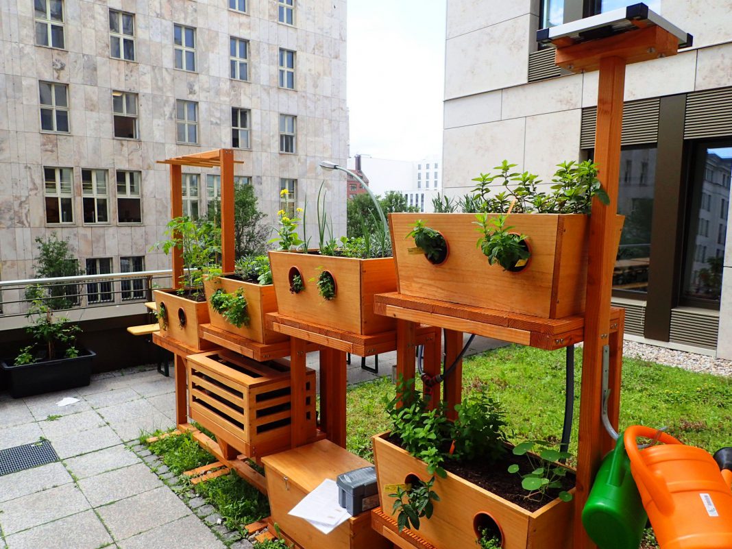 Geco Gardens bringt Vertical Farming nach Stuttgart