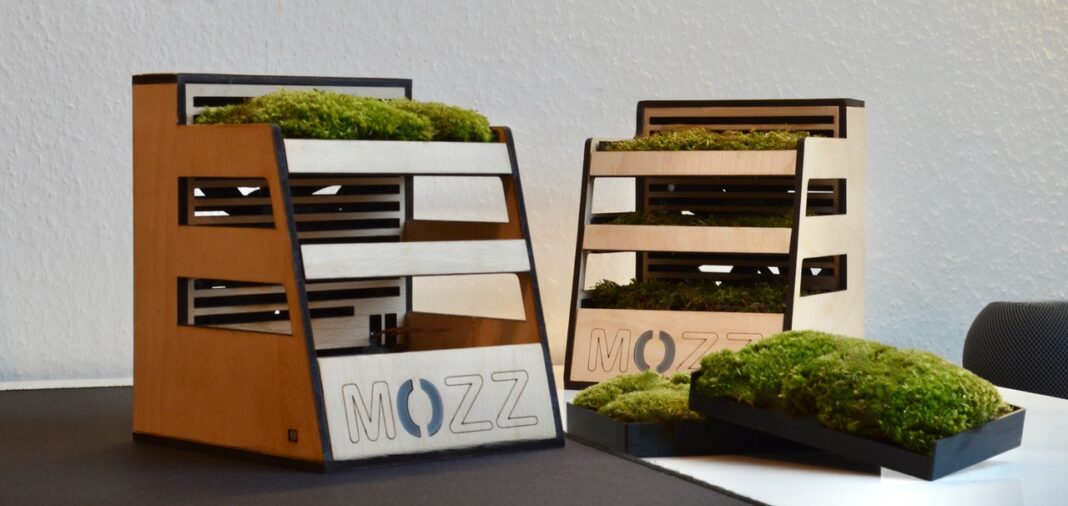 CyberChampion Award 2022 für Mozz – Bio Luftbefeuchter mit Moos